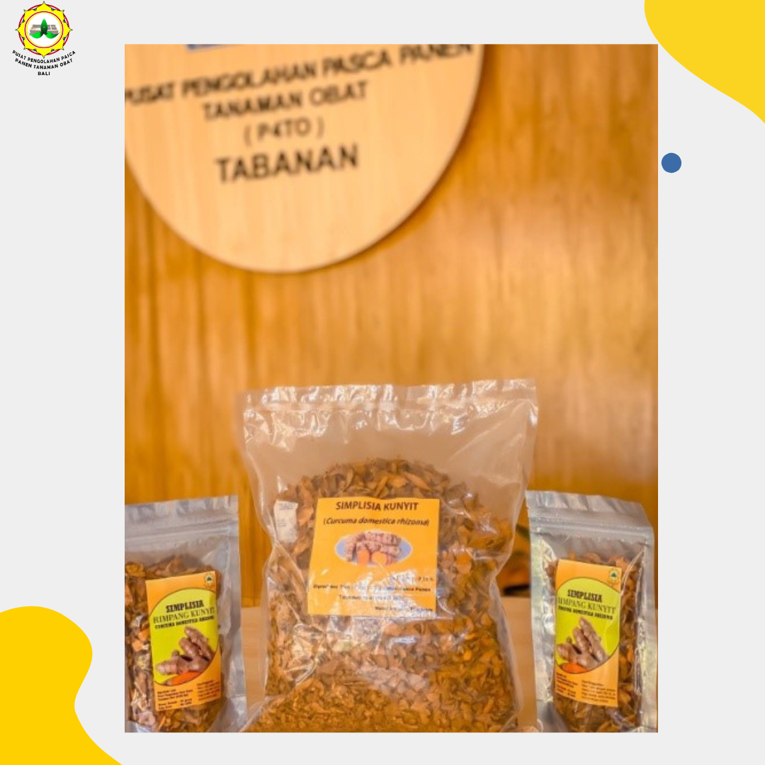 Simplisia Rimpang Kunyit